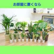 ヒメ日記 2026/03/19 06:23 投稿 このは 熟女の風俗最終章 国分寺店