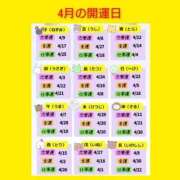 ヒメ日記 2026/04/03 06:33 投稿 このは 熟女の風俗最終章 国分寺店