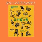 ヒメ日記 2026/04/26 06:23 投稿 このは 熟女の風俗最終章 国分寺店
