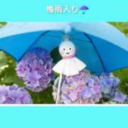 ヒメ日記 2026/06/08 06:23 投稿 このは 熟女の風俗最終章 国分寺店