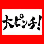 ヒメ日記 2026/07/09 06:23 投稿 このは 熟女の風俗最終章 国分寺店