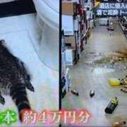 ヒメ日記 2025/12/07 12:30 投稿 ひとみ 熟女の風俗最終章 国分寺店