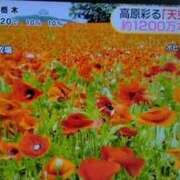 ヒメ日記 2026/05/25 12:34 投稿 ひとみ 熟女の風俗最終章 国分寺店