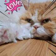 ヒメ日記 2026/02/17 18:56 投稿 みおり 熟女の風俗最終章 国分寺店