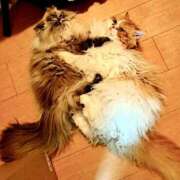 ヒメ日記 2026/04/15 19:19 投稿 みおり 熟女の風俗最終章 国分寺店