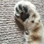 ヒメ日記 2026/02/22 18:23 投稿 みくる 熟女の風俗最終章 国分寺店