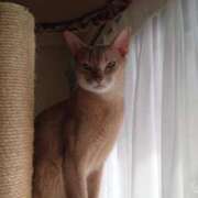 ヒメ日記 2025/09/13 02:53 投稿 かなこ 熟女の風俗最終章 国分寺店