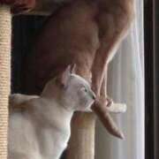 ヒメ日記 2025/10/24 01:33 投稿 かなこ 熟女の風俗最終章 国分寺店