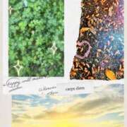 ヒメ日記 2025/11/06 21:08 投稿 かなこ 熟女の風俗最終章 国分寺店