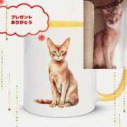 ヒメ日記 2026/02/25 19:51 投稿 かなこ 熟女の風俗最終章 国分寺店