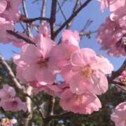 ヒメ日記 2026/03/08 23:17 投稿 かなこ 熟女の風俗最終章 国分寺店