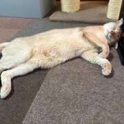 ヒメ日記 2026/03/10 19:13 投稿 かなこ 熟女の風俗最終章 国分寺店