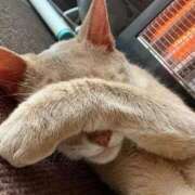 ヒメ日記 2026/04/02 09:15 投稿 かなこ 熟女の風俗最終章 国分寺店