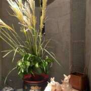 ヒメ日記 2025/10/18 01:03 投稿 りず 熟女の風俗最終章 国分寺店