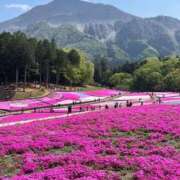 ヒメ日記 2026/05/09 12:48 投稿 りず 熟女の風俗最終章 国分寺店