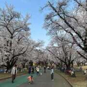 ヒメ日記 2026/03/29 16:57 投稿 きづき 熟女の風俗最終章 国分寺店