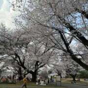 ヒメ日記 2026/03/30 17:23 投稿 きづき 熟女の風俗最終章 国分寺店