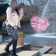 ヒメ日記 2025/11/17 11:53 投稿 ゆりか 熟女の風俗最終章 国分寺店