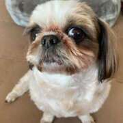 ヒメ日記 2025/09/22 08:33 投稿 れん 熟女の風俗最終章 国分寺店