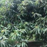 ヒメ日記 2025/09/29 19:16 投稿 つばめ 熟女の風俗最終章 国分寺店