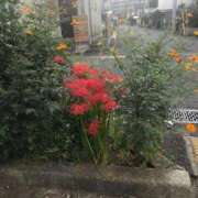 ヒメ日記 2025/10/02 14:03 投稿 つばめ 熟女の風俗最終章 国分寺店