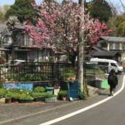 ヒメ日記 2026/03/30 18:53 投稿 つばめ 熟女の風俗最終章 国分寺店