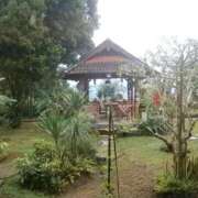 ヒメ日記 2026/01/14 17:40 投稿 まいか 熟女の風俗最終章 国分寺店