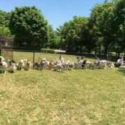 ヒメ日記 2026/02/15 15:33 投稿 まいか 熟女の風俗最終章 国分寺店