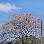 ヒメ日記 2026/03/28 13:01 投稿 まいか 熟女の風俗最終章 国分寺店