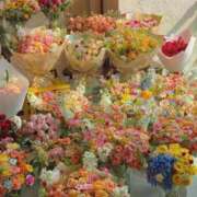 ヒメ日記 2025/09/04 09:49 投稿 さき イエスグループ熊本 TSUBAKI(ツバキ)