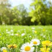 ヒメ日記 2025/09/28 09:32 投稿 さき イエスグループ熊本 TSUBAKI(ツバキ)