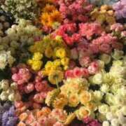 ヒメ日記 2025/11/27 09:28 投稿 さき イエスグループ熊本 TSUBAKI(ツバキ)