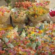 ヒメ日記 2025/12/04 09:30 投稿 さき イエスグループ熊本 TSUBAKI(ツバキ)