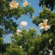 ヒメ日記 2025/12/16 09:02 投稿 さき イエスグループ熊本 TSUBAKI(ツバキ)