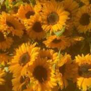 ヒメ日記 2025/12/31 09:52 投稿 さき イエスグループ熊本 TSUBAKI(ツバキ)