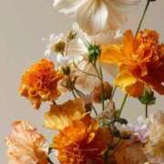 さき 出勤^ ^ イエスグループ熊本 TSUBAKI(ツバキ)