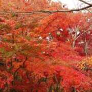れん ありがとうございました✨ 制服天国（ユメオト）