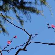 ヒメ日記 2026/02/01 21:51 投稿 れん 制服天国（ユメオト）