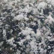 ヒメ日記 2026/02/10 02:32 投稿 れん 制服天国（ユメオト）