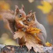 ヒメ日記 2025/10/16 21:03 投稿 みさえ 熟女の風俗最終章 国分寺店