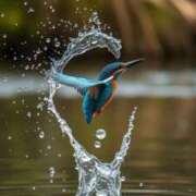 ヒメ日記 2025/12/03 23:34 投稿 みさえ 熟女の風俗最終章 国分寺店