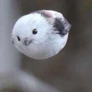 ヒメ日記 2025/12/09 00:53 投稿 みさえ 熟女の風俗最終章 国分寺店