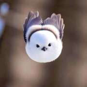 ヒメ日記 2025/12/19 21:53 投稿 みさえ 熟女の風俗最終章 国分寺店