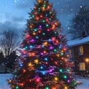 ヒメ日記 2025/12/25 23:35 投稿 みさえ 熟女の風俗最終章 国分寺店