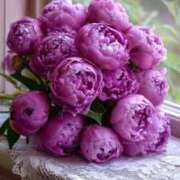 ヒメ日記 2026/02/11 22:53 投稿 みさえ 熟女の風俗最終章 国分寺店