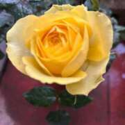 ヒメ日記 2026/03/23 07:15 投稿 よしこ 熟女の風俗最終章 国分寺店