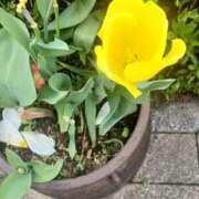 ヒメ日記 2026/04/13 20:03 投稿 みさお 熟女の風俗最終章 国分寺店