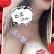 ヒメ日記 2025/11/13 10:53 投稿 さほ 熟女の風俗最終章 国分寺店