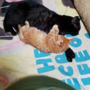 ヒメ日記 2025/09/23 17:33 投稿 みおん 熟女の風俗最終章 国分寺店