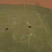 ヒメ日記 2025/09/20 20:31 投稿 高橋 あさみ AROMAGE（アロマージュ）